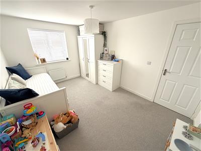 Picture 16
